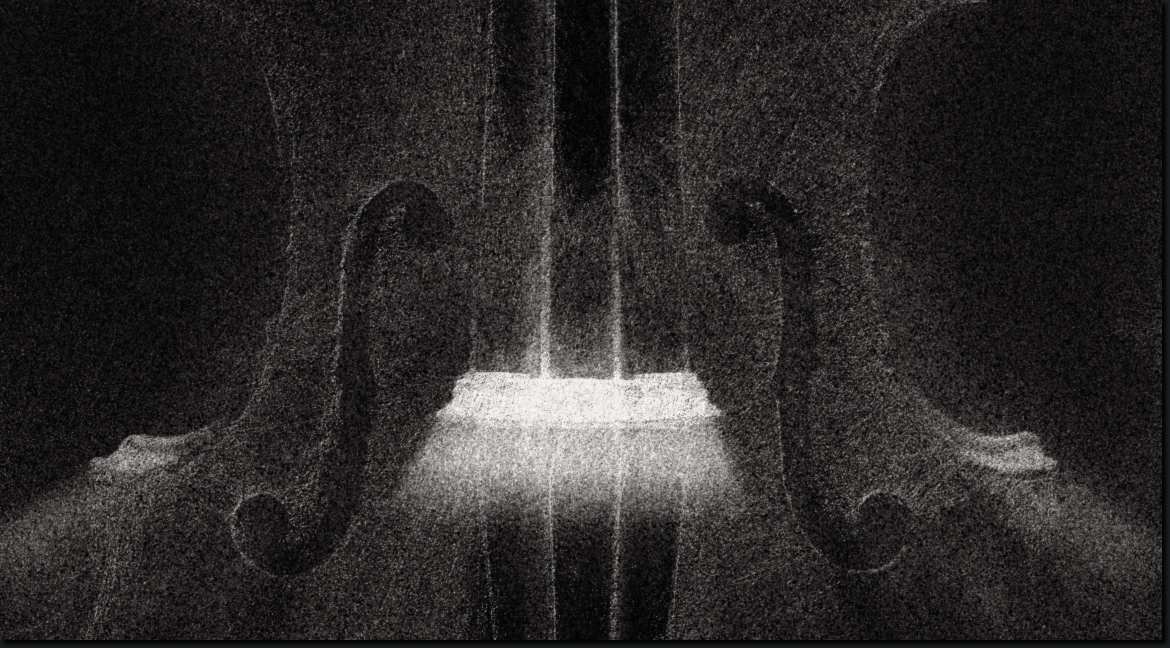 Stradivarius Liberatus - Detail Section