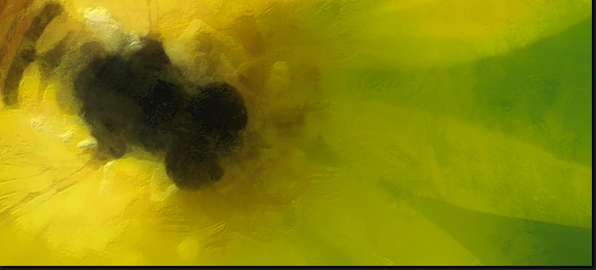 Sunlight - Detail Section