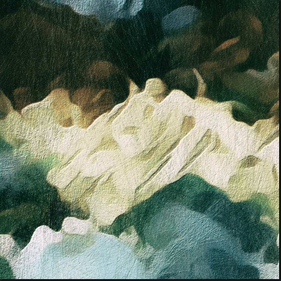 The Inner World of Plants - Detail Section 1