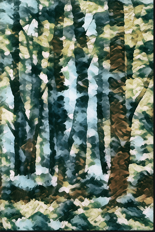 The Inner World of Plants - Detail Section 2