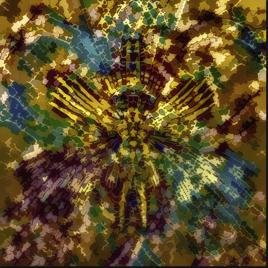 The Wings of Sleep