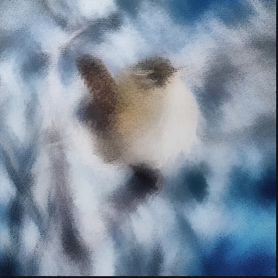 The Wren in Winter